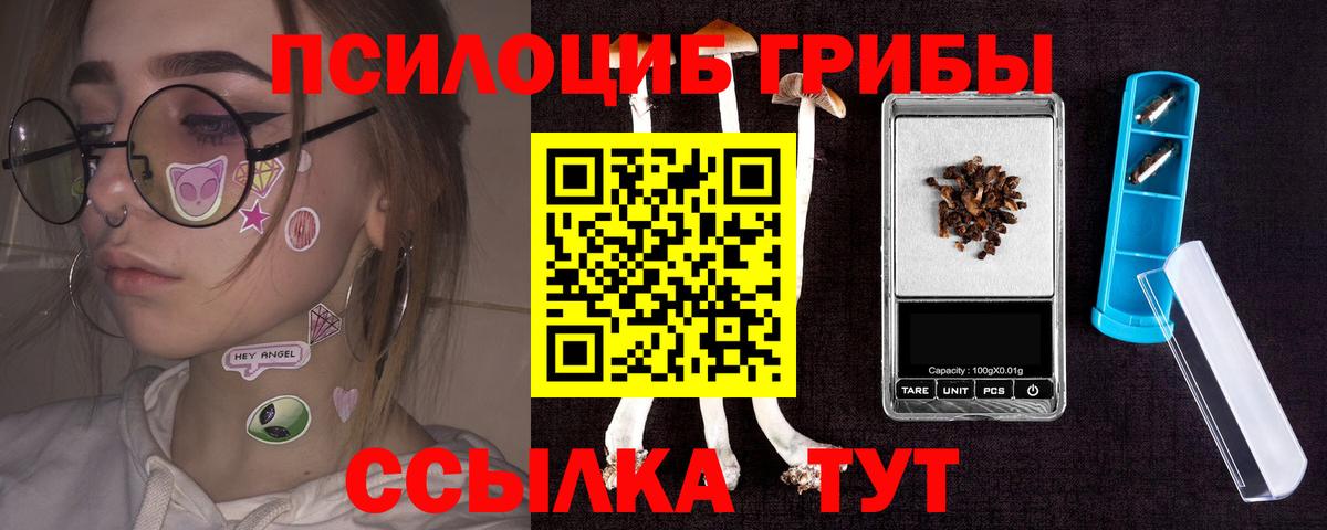 Псилоцибиновые грибы Cubensis Кирово-Чепецк